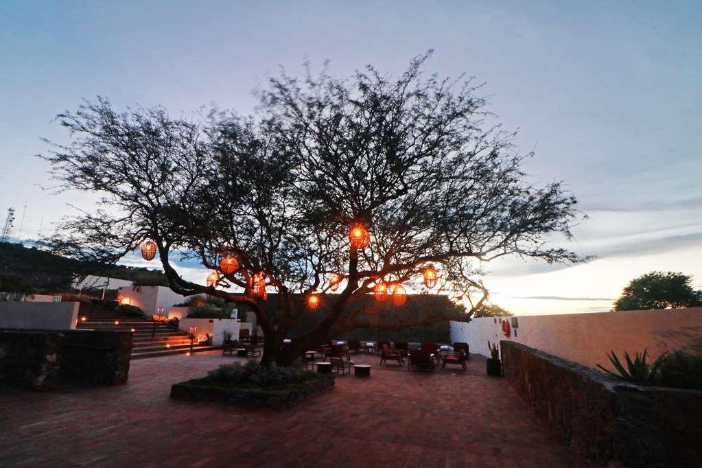 Albor San Miguel De Allende Tapestry Collection By Hilton المظهر الخارجي الصورة