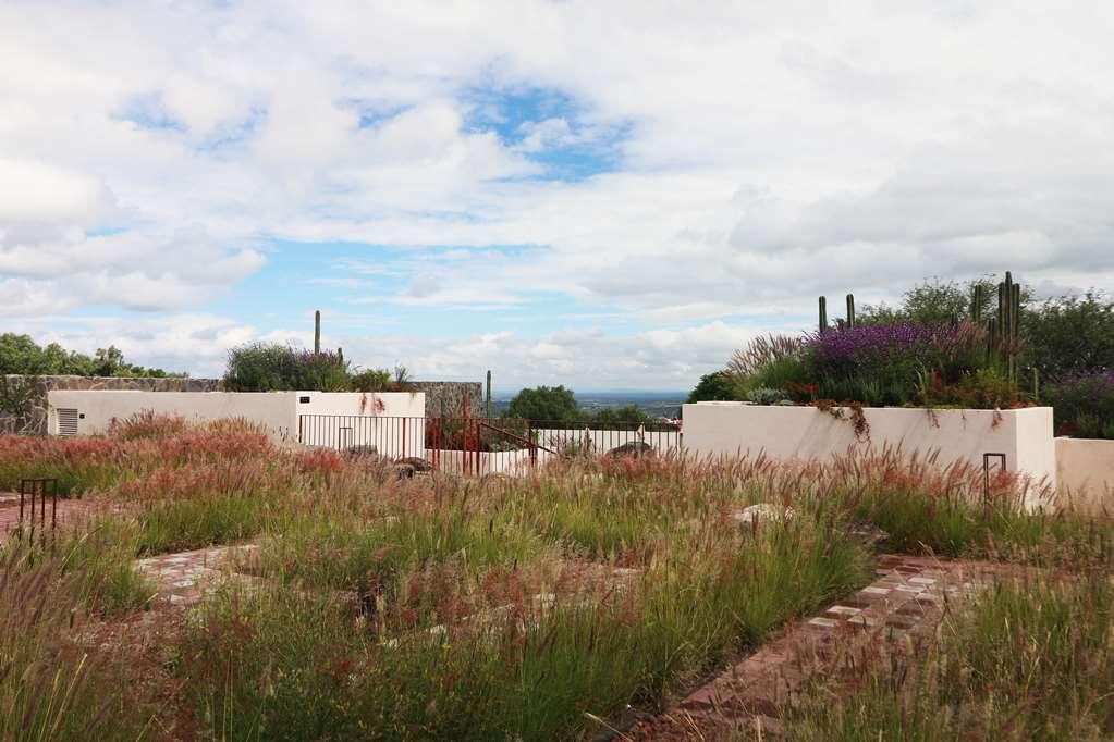 Albor San Miguel De Allende Tapestry Collection By Hilton المظهر الخارجي الصورة